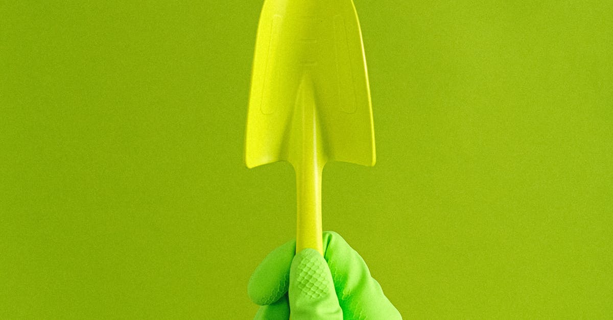 Scottsdale's Lawn Care Services